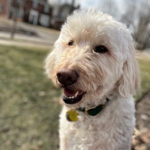 Meet your Posher, Kathryn